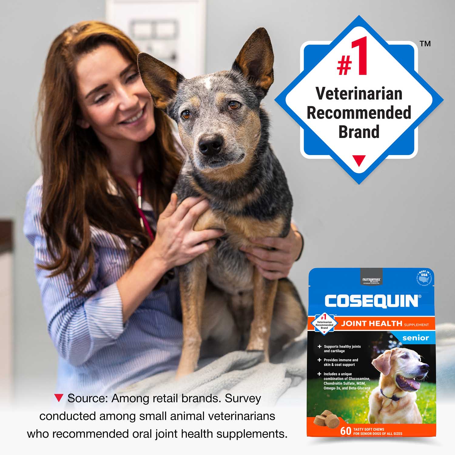 Nutramax Cosequin Senior Joint Health Supplement for Senior Dogs - Image 3