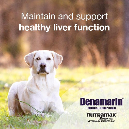 Nutramax Denamarin Liver Health, Chewable Tablets - Image 8