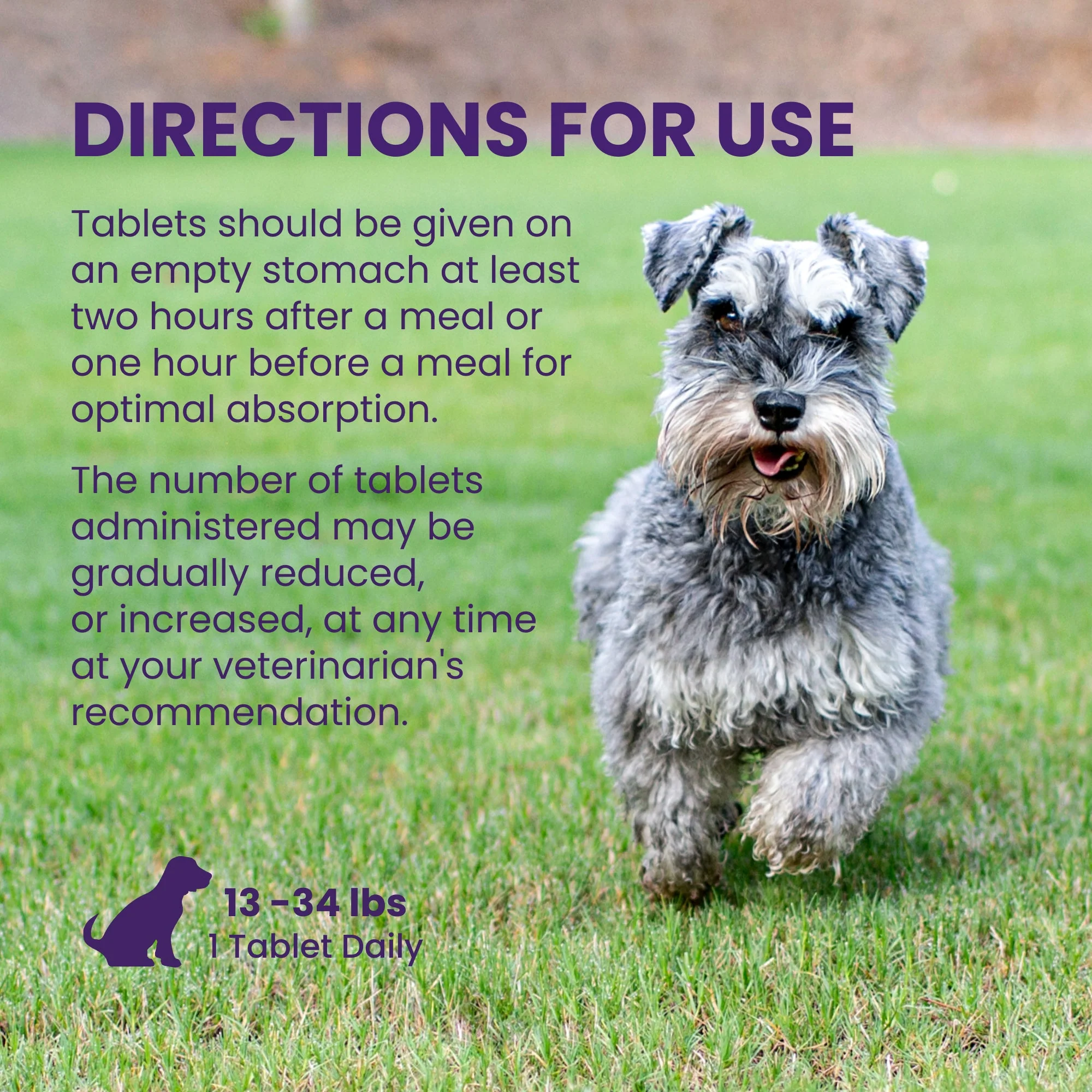 Nutramax Denamarin Liver Health Tablets for Dogs and Cats - Image 13