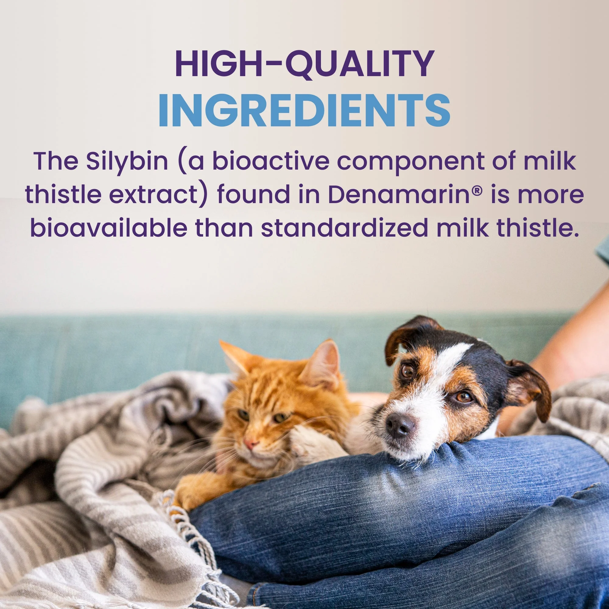 Nutramax Denamarin Liver Health Tablets for Dogs and Cats - Image 7