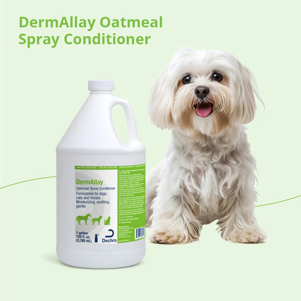 DermAllay Oatmeal Spray Conditioner – Anti-Itch, Leave-On Skin Relief for Dogs, Cats & Horses - Image 16