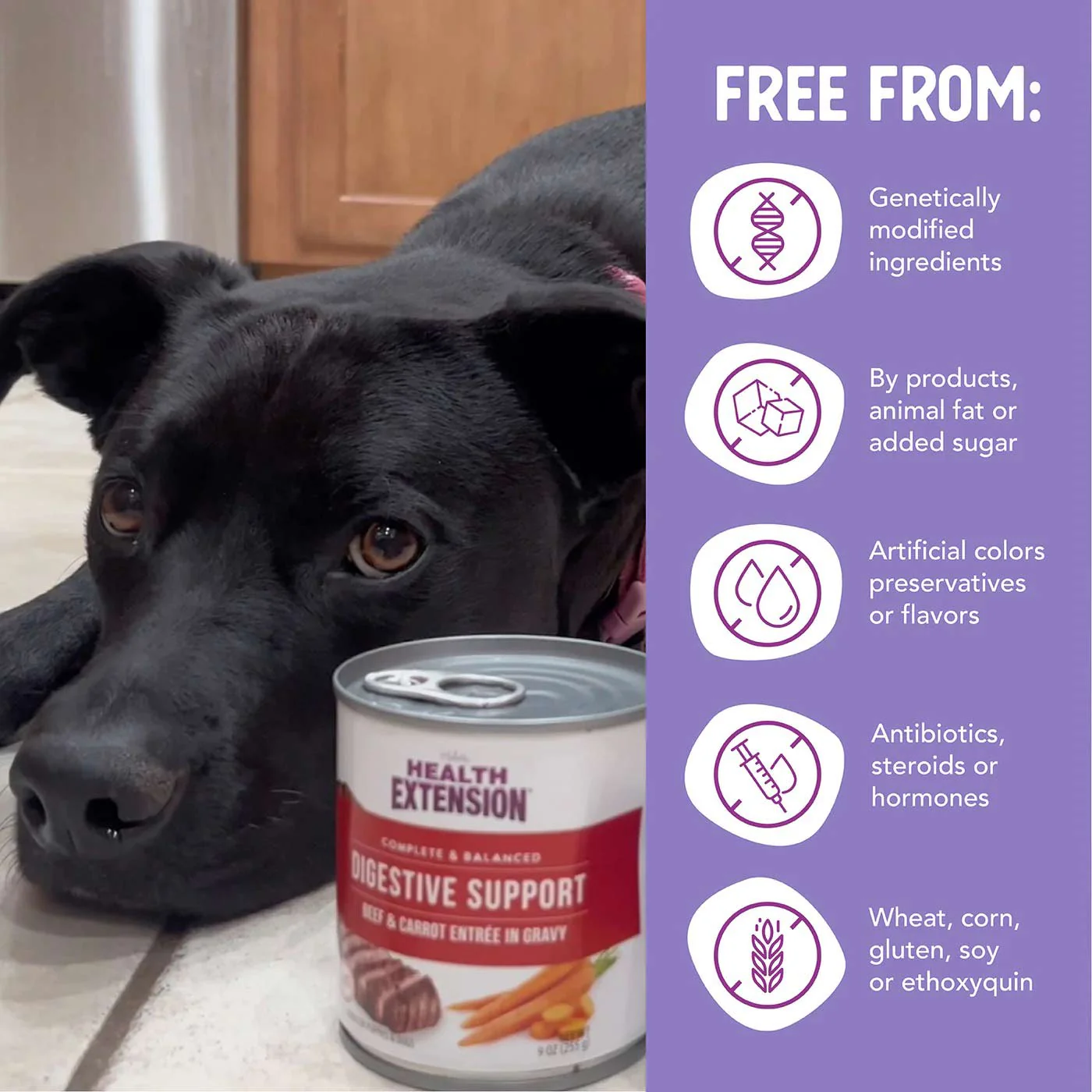 Health Extension Digestive Support Canned Food for Dogs, 9 oz - Image 10