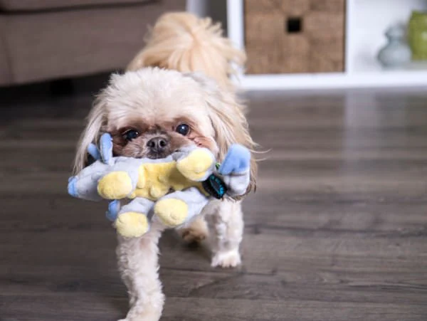 Dinos Frills Triceratops Dog Toy - Image 5