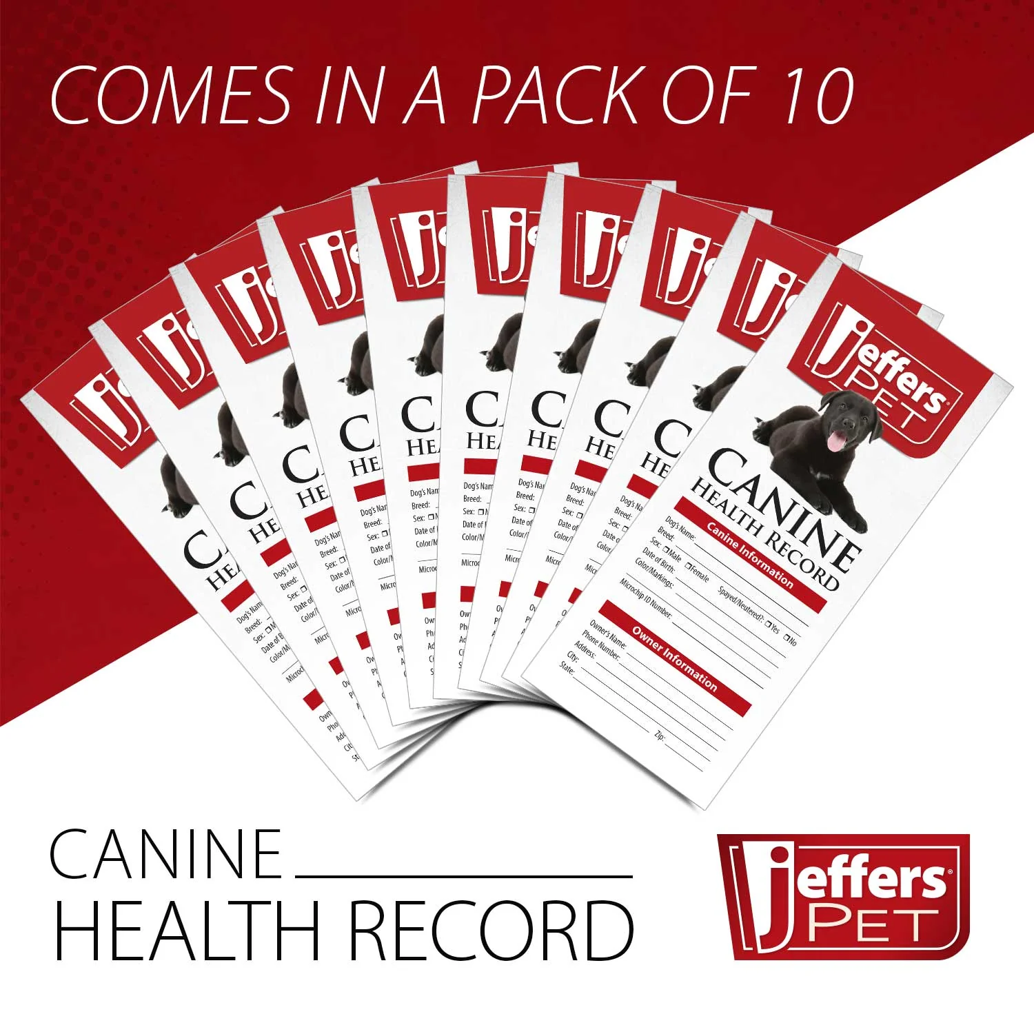 Jeffers Dog Health Record - Image 4