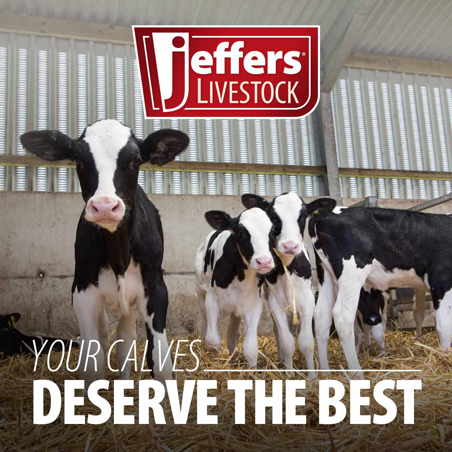 Jeffers Calf Sling - Image 8