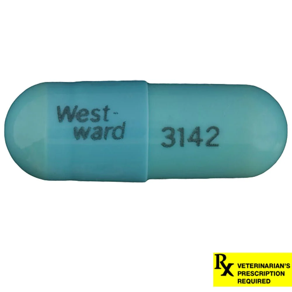 Rx Doxycycline Hyclate (Generic) Capsules - Image 2
