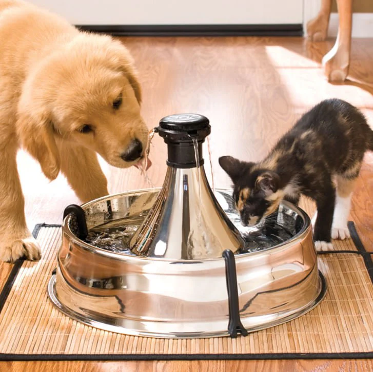 Drinkwell 360 Stainless Pet Fountain (& Replacement Filters) - Image 4