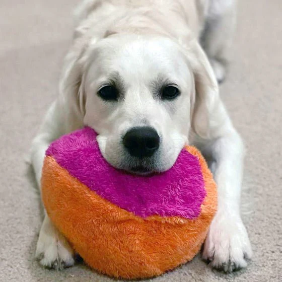 Duraplush FuzzBall Dog Toys - Image 9