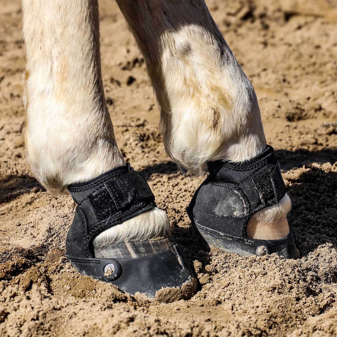 Easyboot Glove Soft Horse Hoof Boot, Single - Image 3
