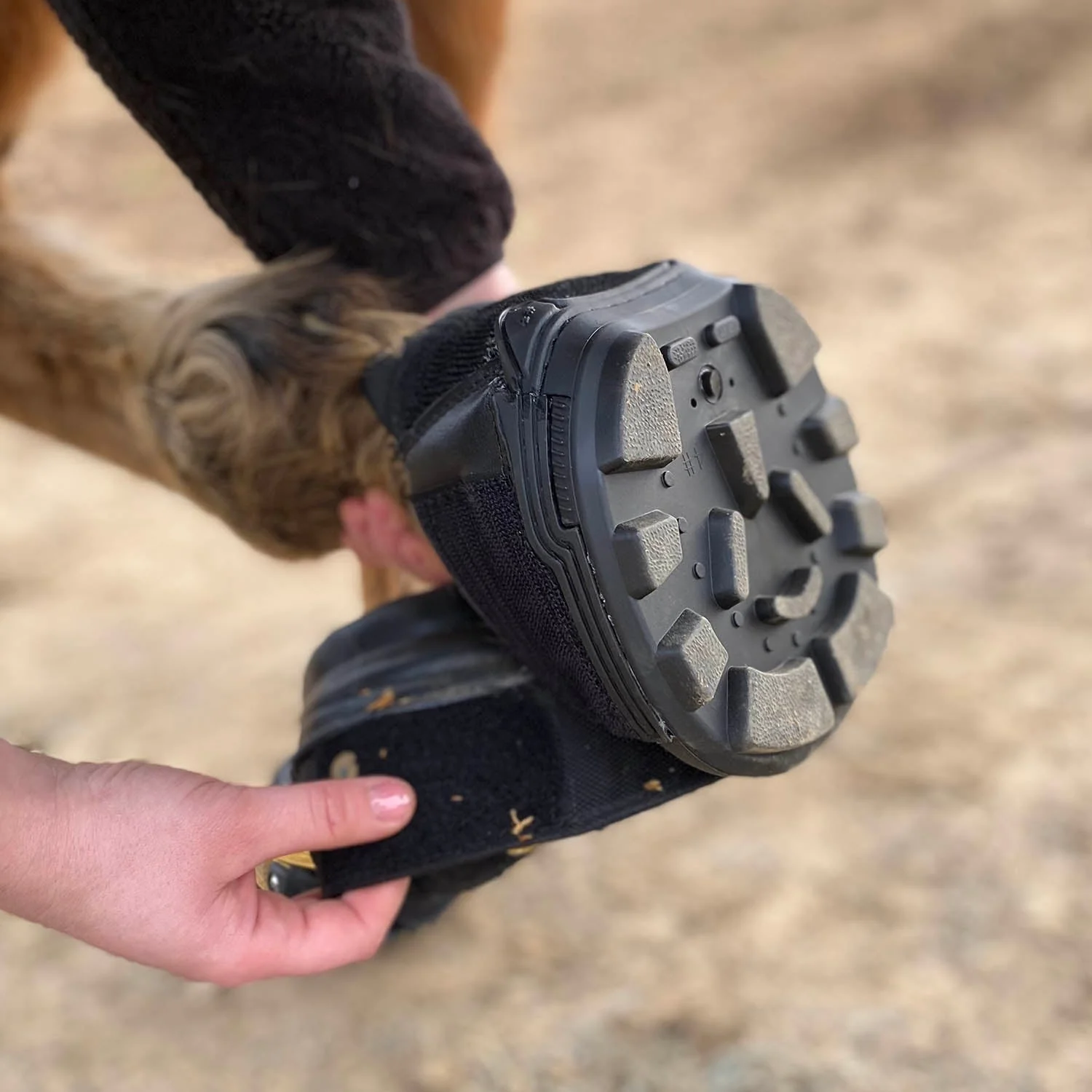 Easyboot Trail Horse Boot - Image 5
