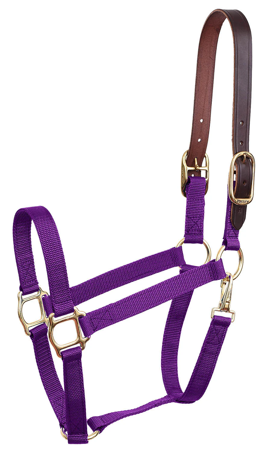 Economy Nylon Safety Horse Halter - Image 10