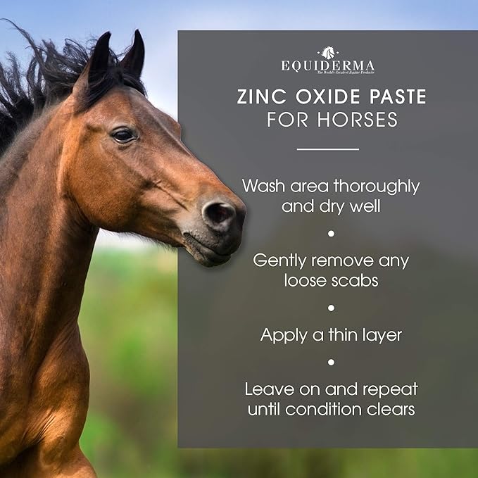Equiderma Zinc Oxide Paste, 16 oz - Image 2