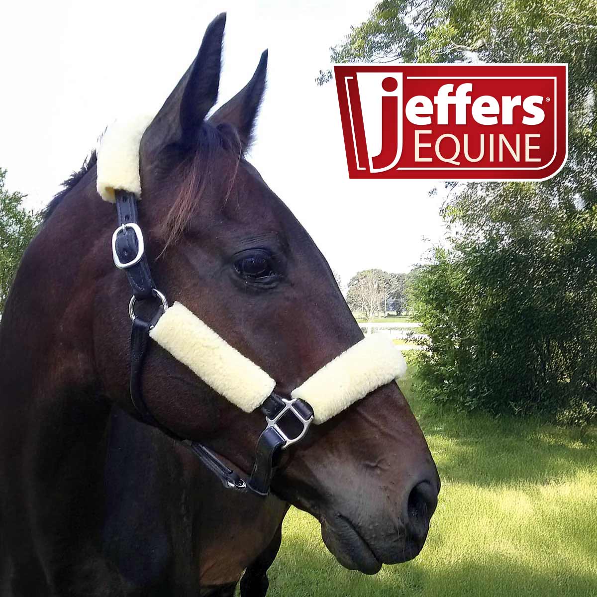 Jeffers Horse Fleece Halter Tube, 4 Piece Comfort Set - Image 6