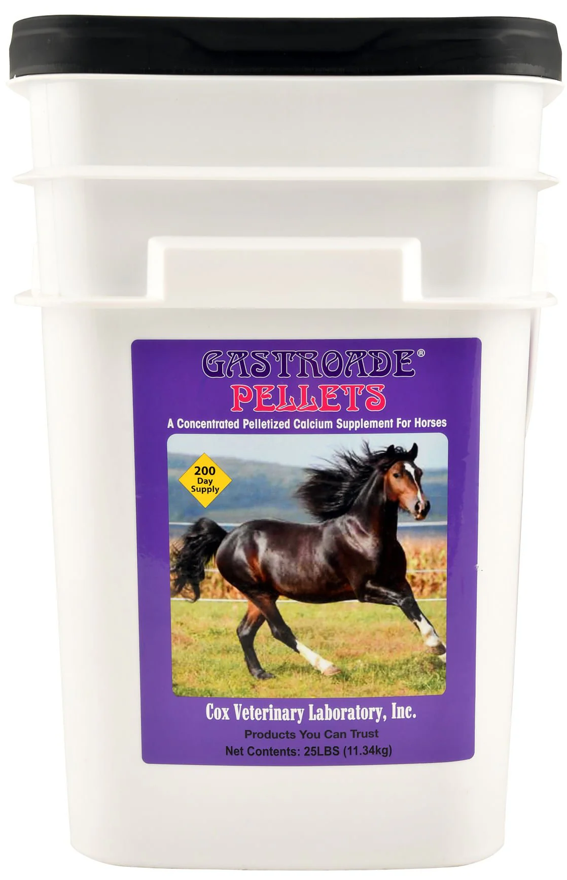 Gastroade Pellets for Healthy GI Tract in Horses - Image 7