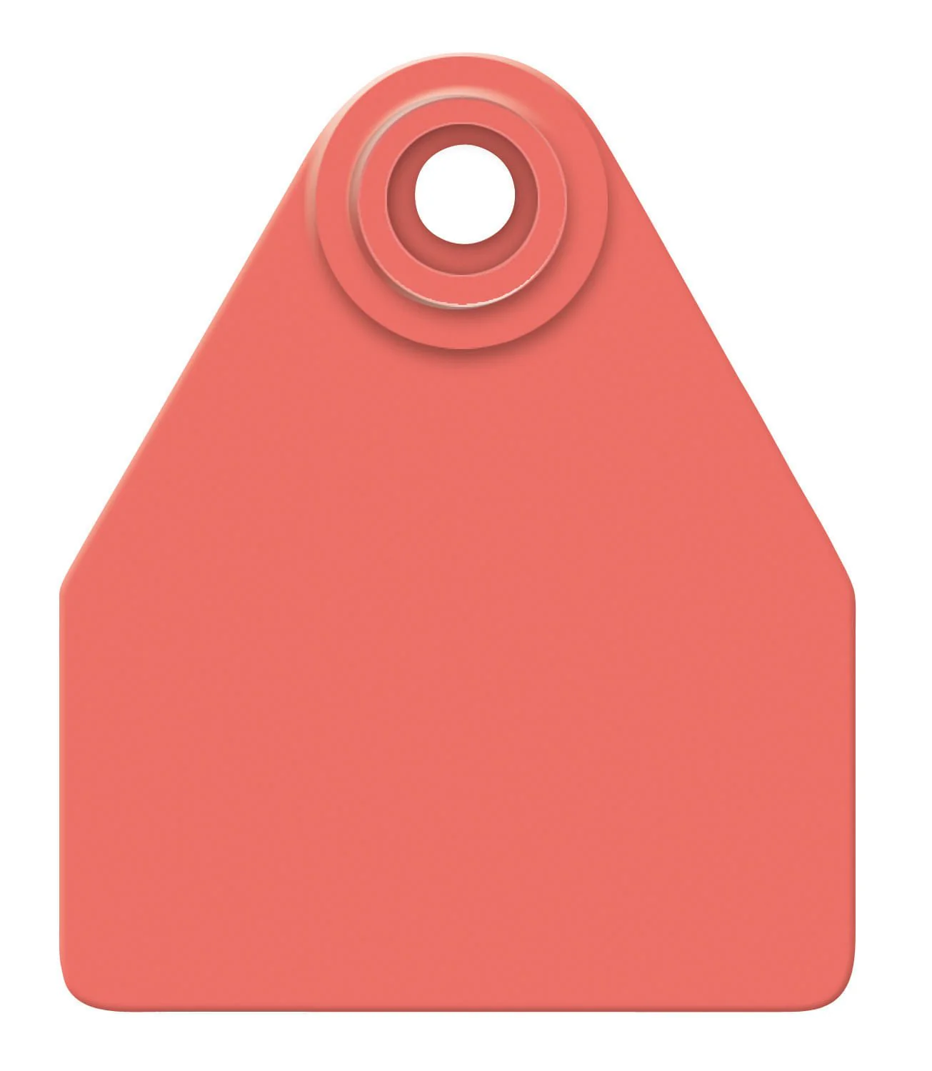 Allflex Global Blank 2-Piece Tags, 25 ct - Image 12