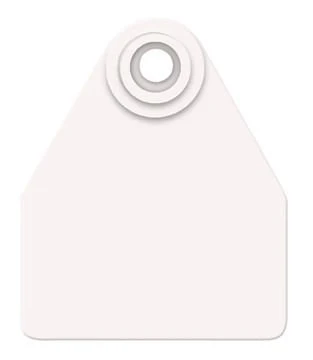 Allflex Global Blank 2-Piece Tags, 25 ct - Image 9
