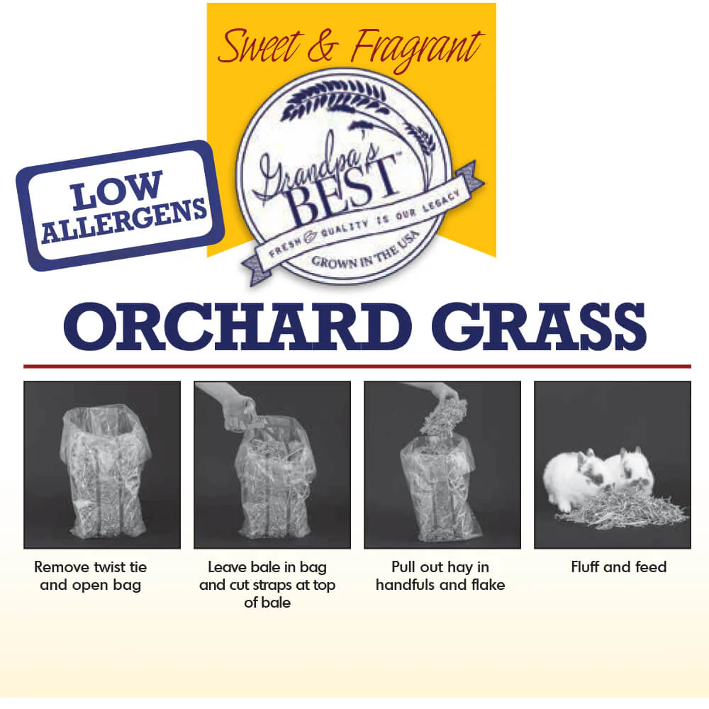 Grandpa's Best Orchard Grass Bale or Loose Boxed Hay for Small Pets - Image 4