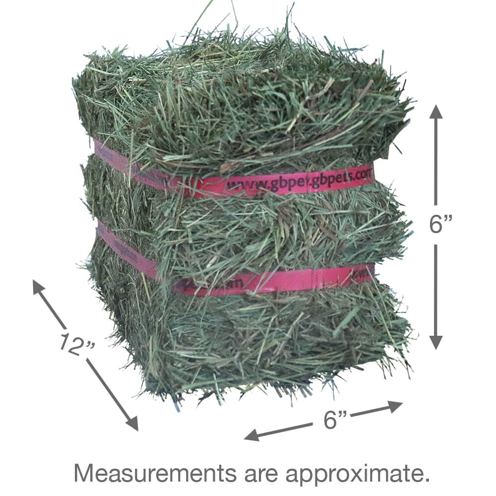 Grandpa's Best Prairie Hay - Image 4