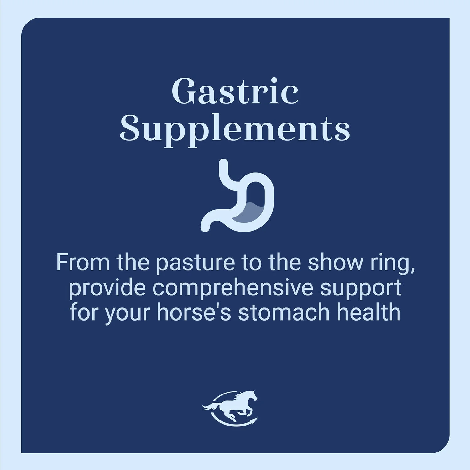 GUT, Digestive & Stomach Support Supplement for Horses, Powder - Image 9