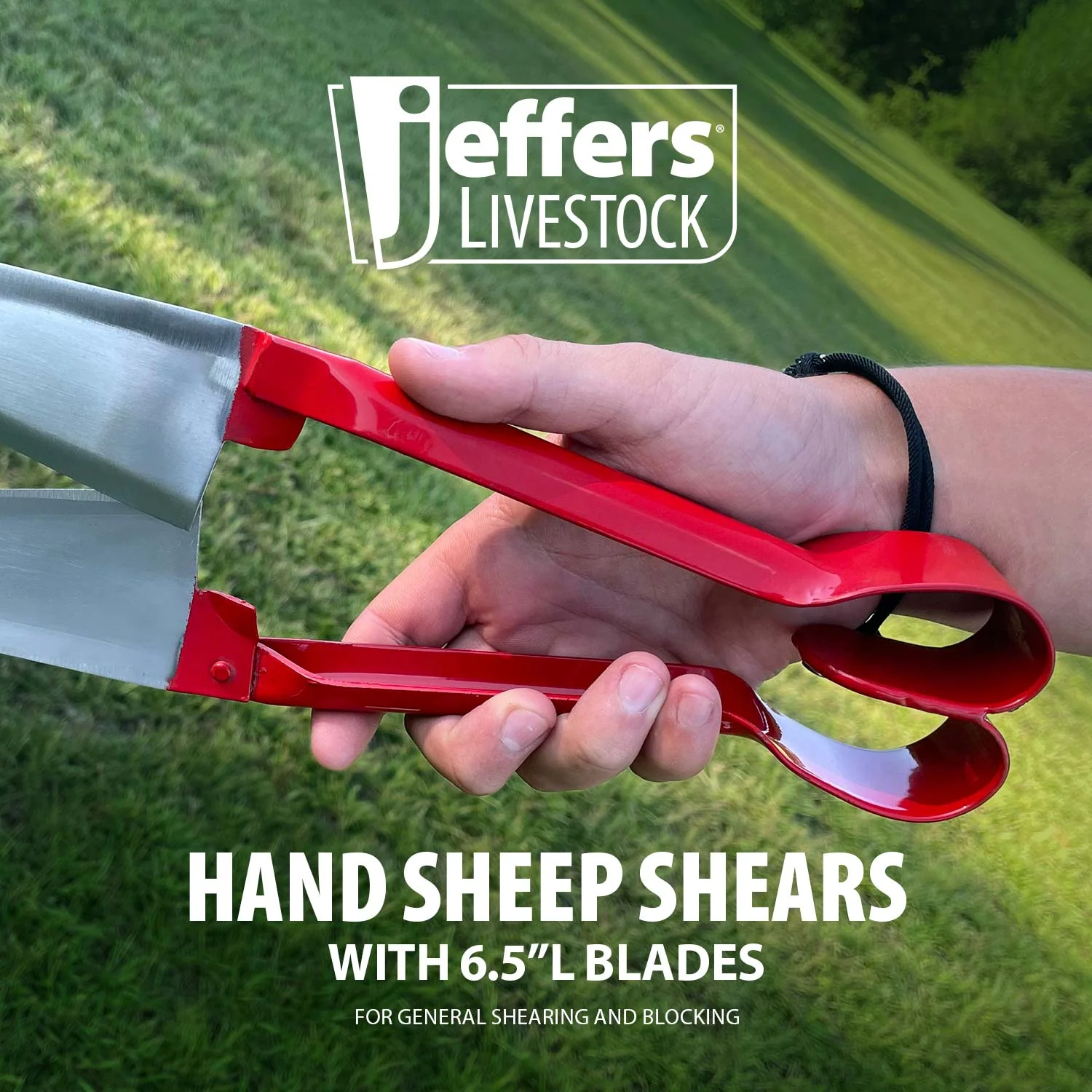 Jeffers Hand Shears for Sheep Manual Sheep Shearing Tool - Image 2