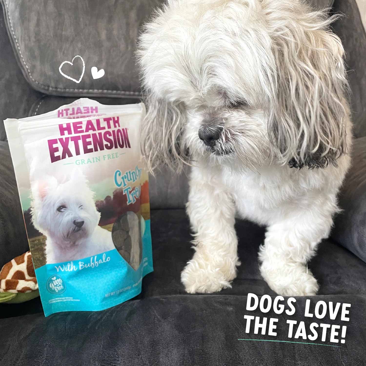 Health Extension Crunchy Heart-Shaped Cookie Dog Treats, Small, 12 oz - Image 6