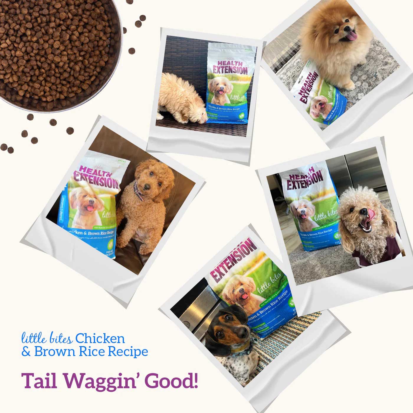 Health Extension Little Bites Chicken & Brown Rice Recipe Small Breed Dry Dog Food - Image 9