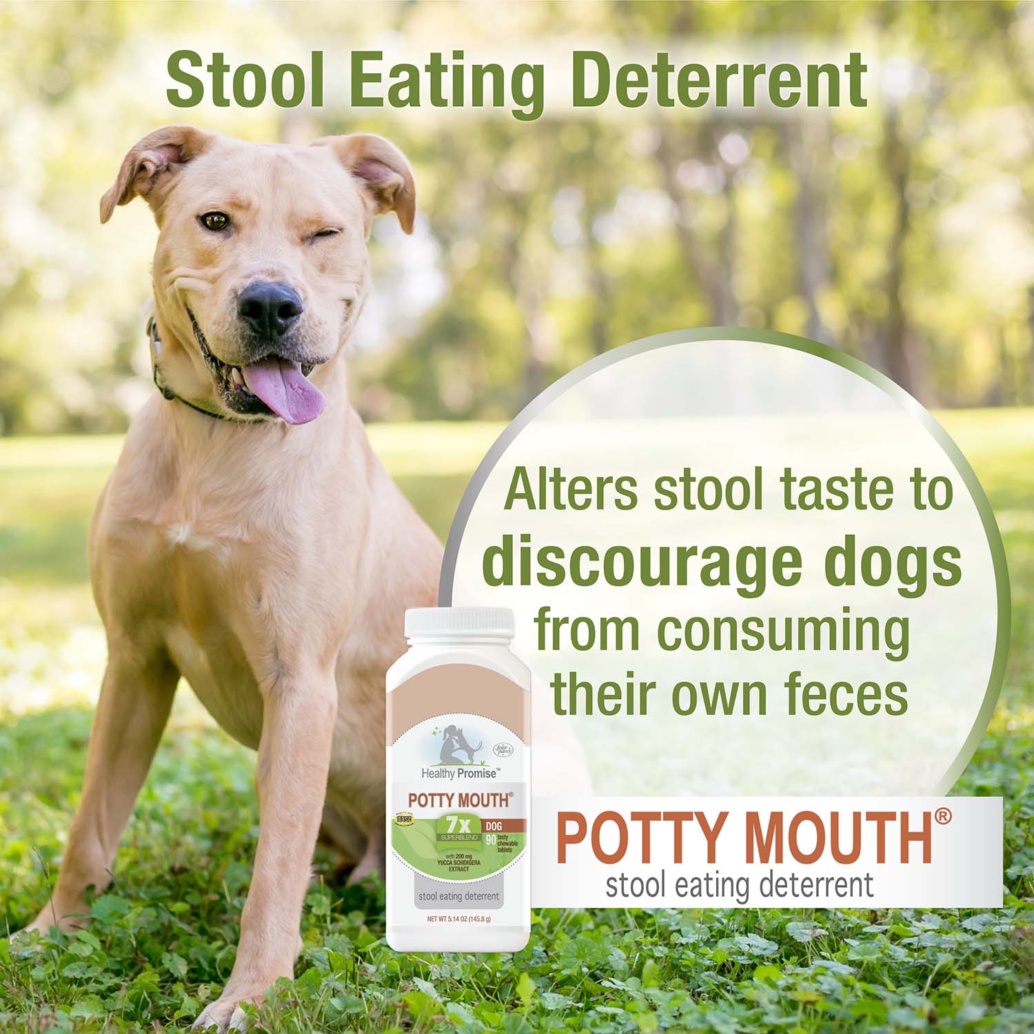 Healthy Promise Potty Mouth Tablets, Coprophagia Stool Eating Deterrent for Dogs, 90 ct - Image 6