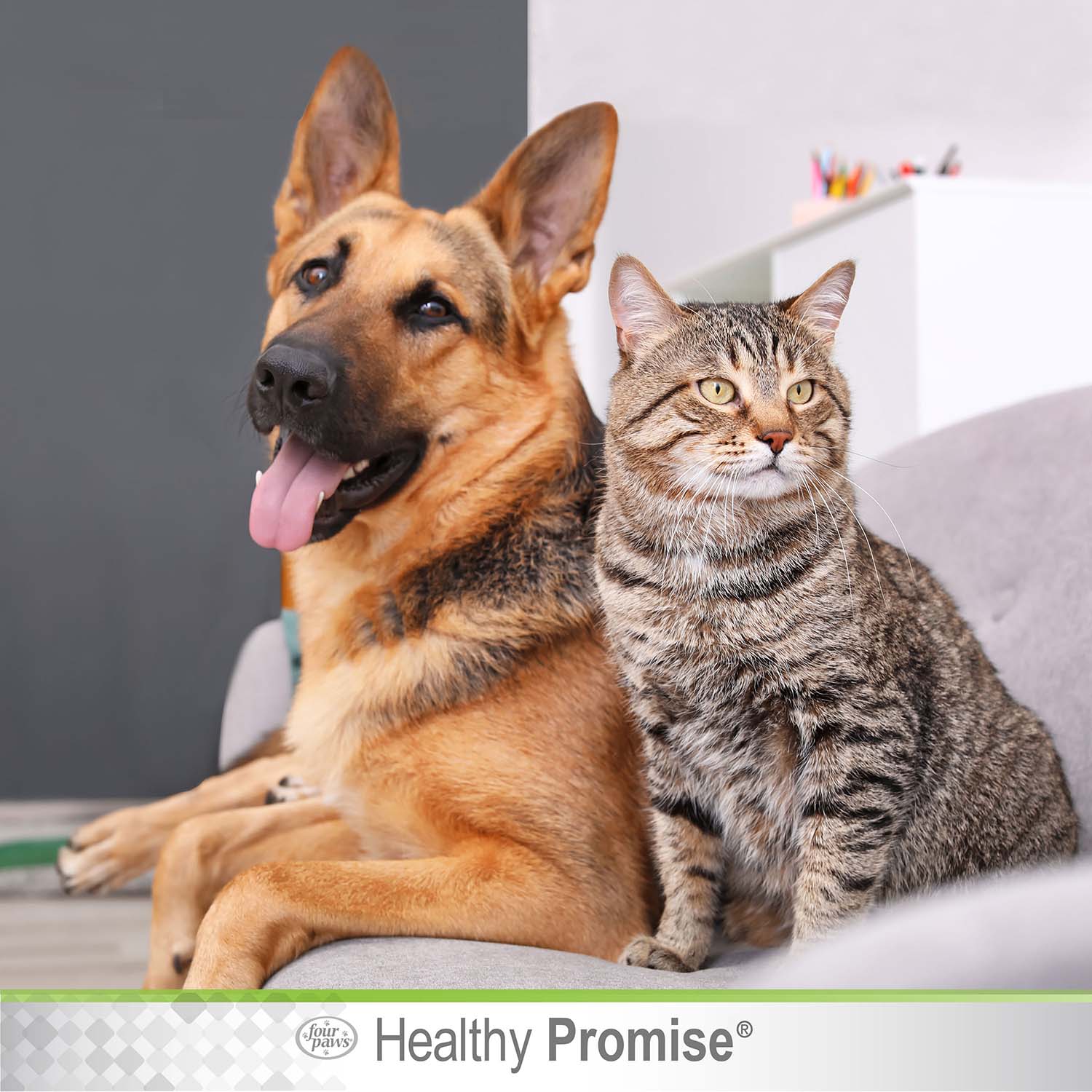 Healthy Promise Quick-Action Pet Blood Stopper Styptic, 0.5 oz - Image 9