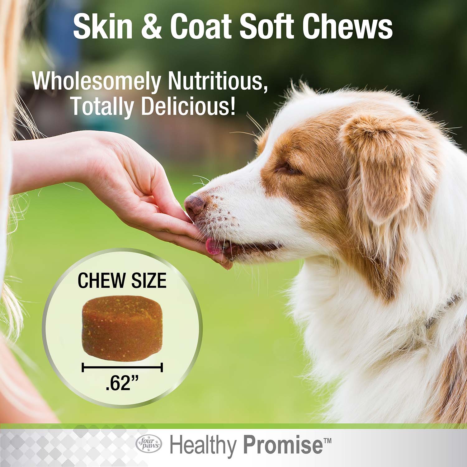 Healthy Promise Skin and Coat Soft Chews for Dogs, Savory Liver, 90 ct - Image 7