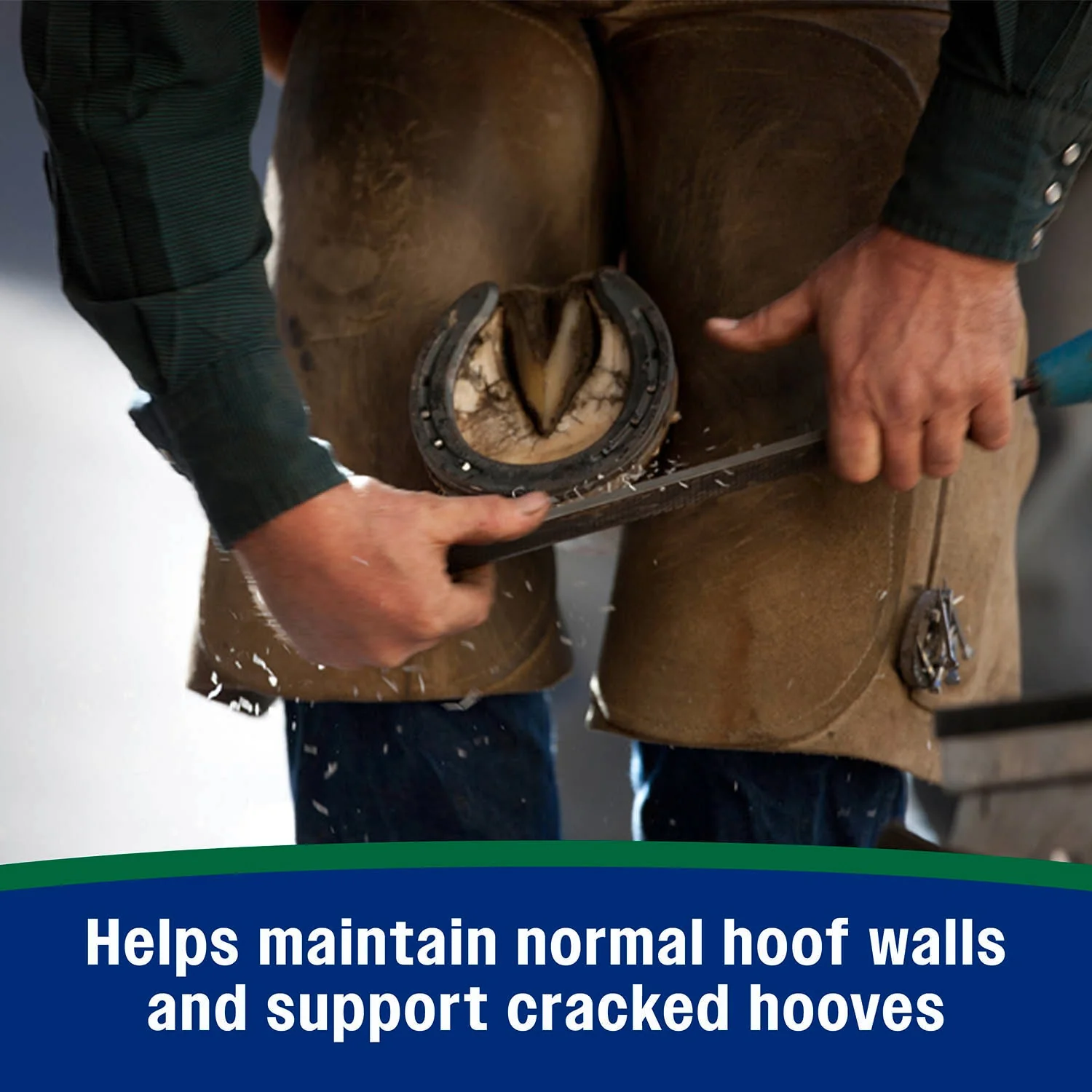 Horseshoer's Secret Pelleted Hoof Supplement - Image 13