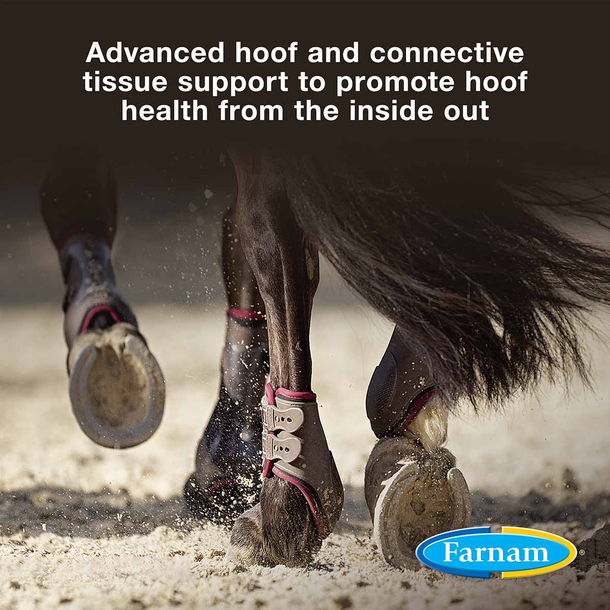 Horseshoer's Secret Hoof & Connective Tissue Supplement - Image 14
