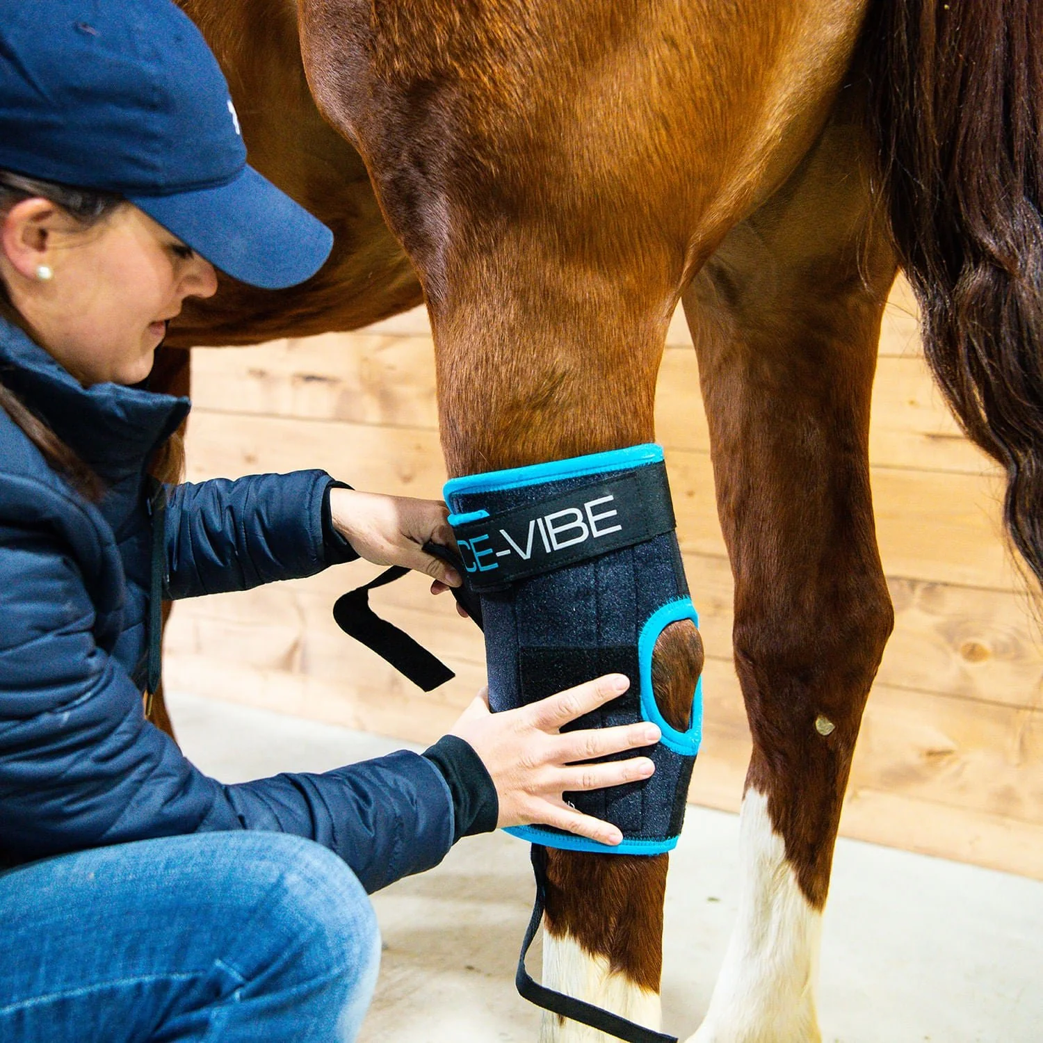 Ice Vibe Hock Wrap 8 Piece Horse Therapy Kit - Image 2