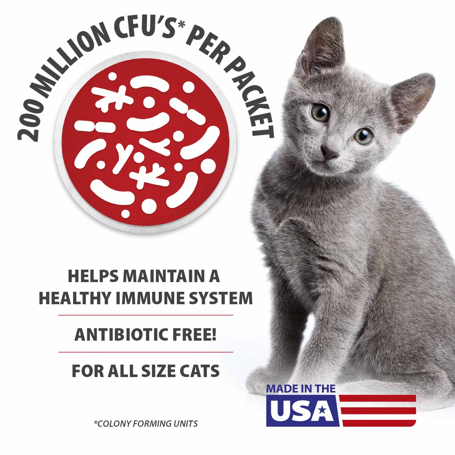 Jeffers BELLY BUDDY Probiotic Supplement Packets for Cats – Multi-Strain Digestive & Immune Support - Image 4