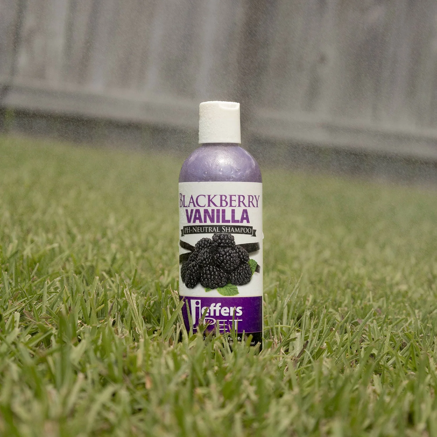 Jeffers Pet Blackberry Vanilla pH-Neutral Pet Shampoo - Image 3