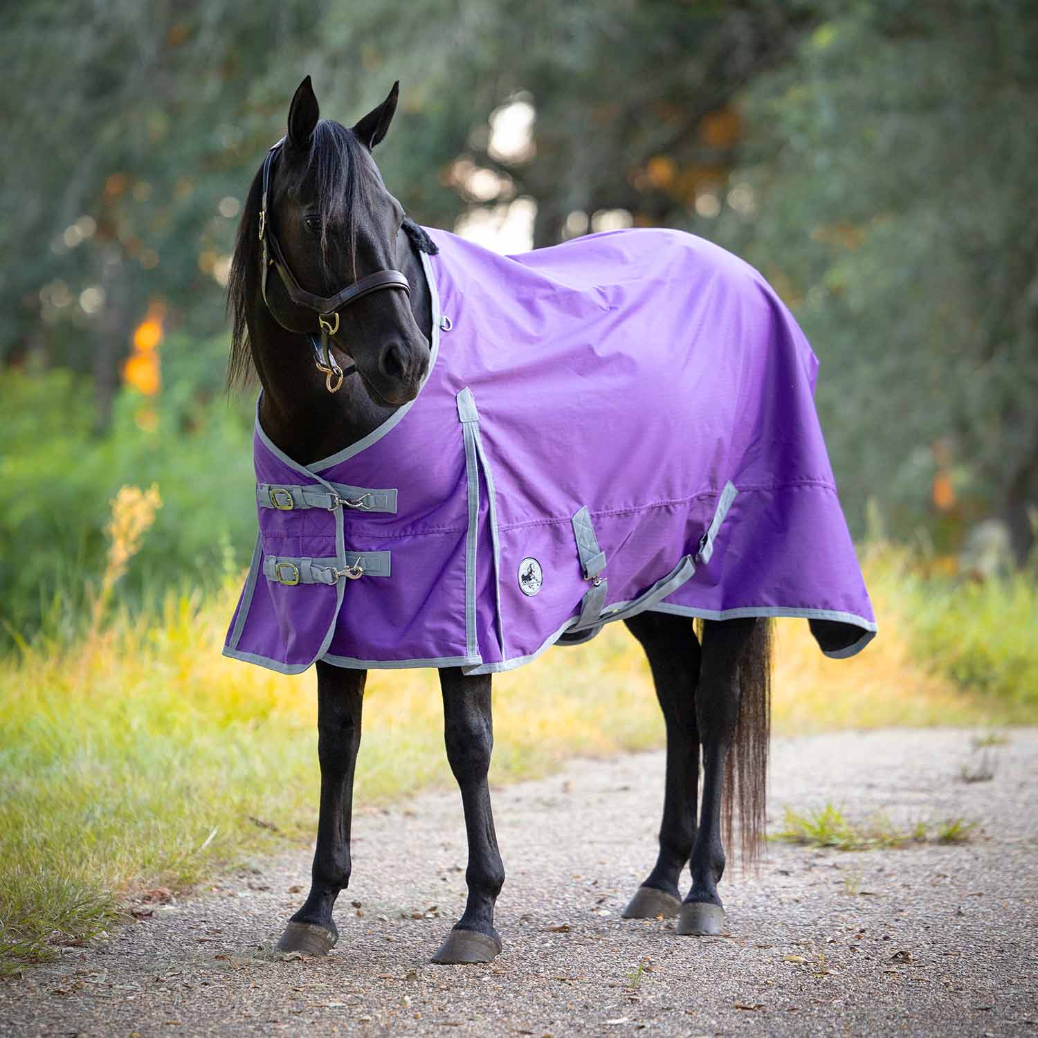Jeffers Economy 600 Denier Medium Weight Standard Neck Horse Turnout Blanket, 240 Gram - Image 3