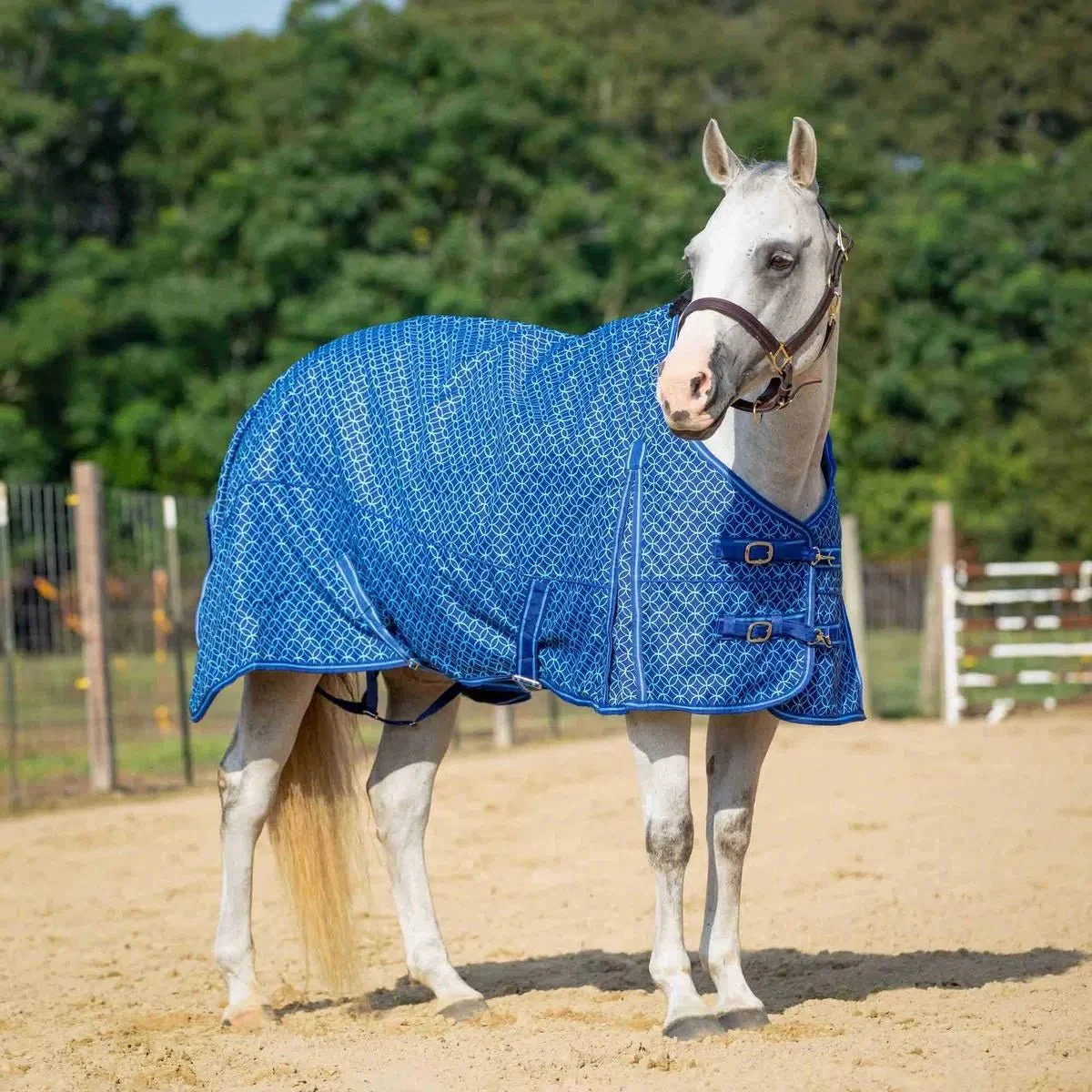 Jeffers Economy 600 Denier Plaid Medium-Weight Standard Neck Horse Turnout Blanket, 240 g - Image 6
