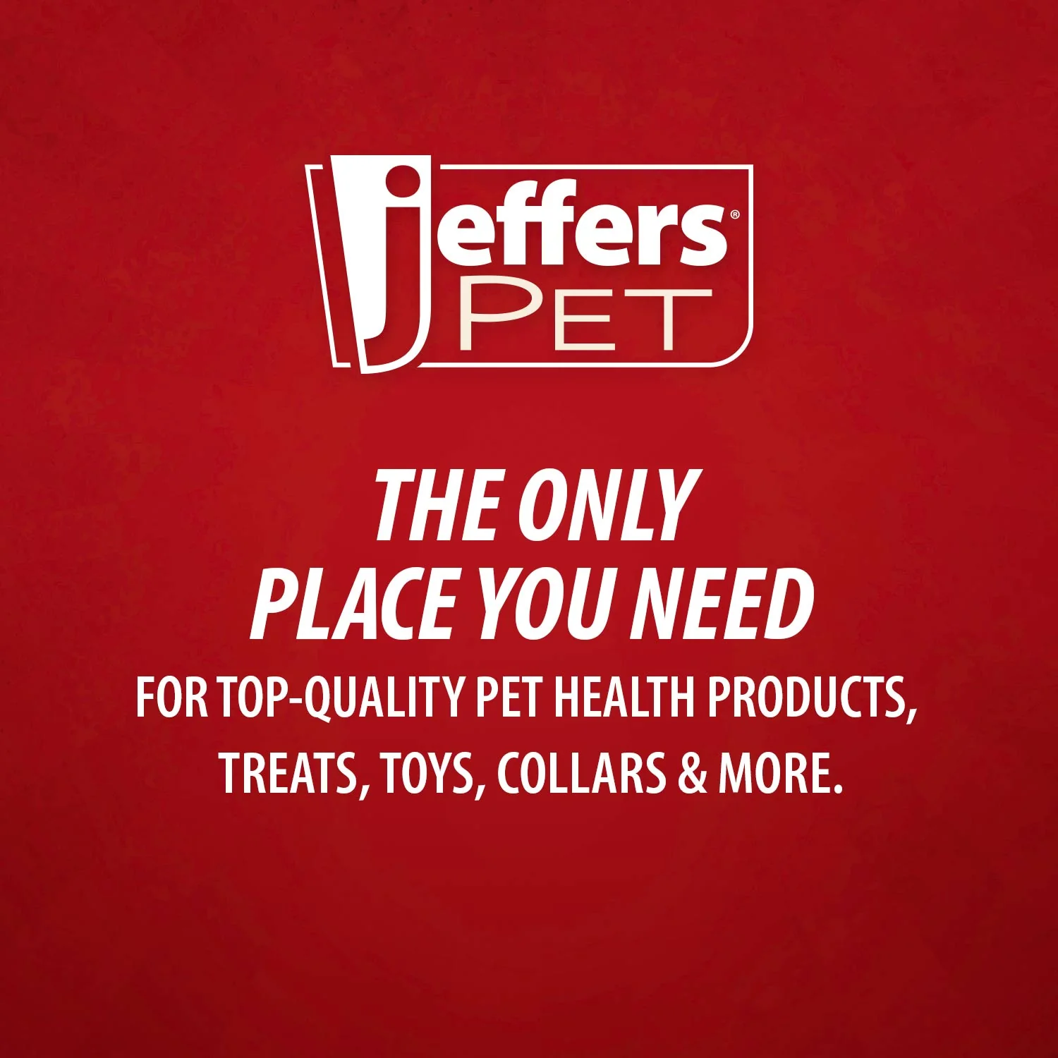 Jeffers Fuzzy Shapes Dog Toys with Squeakers, Assorted Colors - Image 9