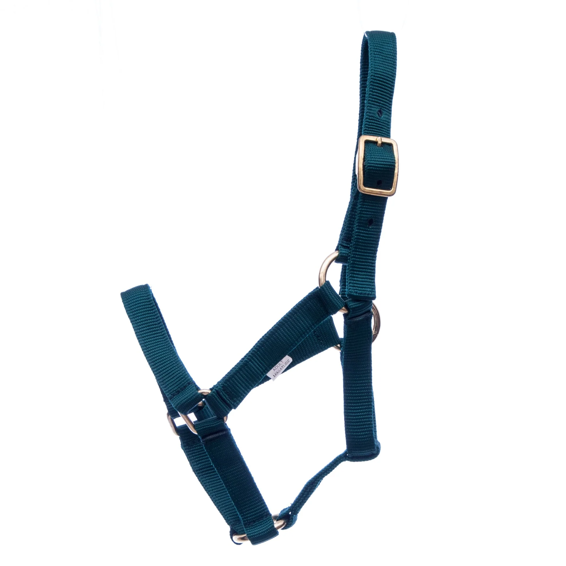 Jeffers Nylon Miniature Horse Halters, 2-Ply, 3/4" - Image 10