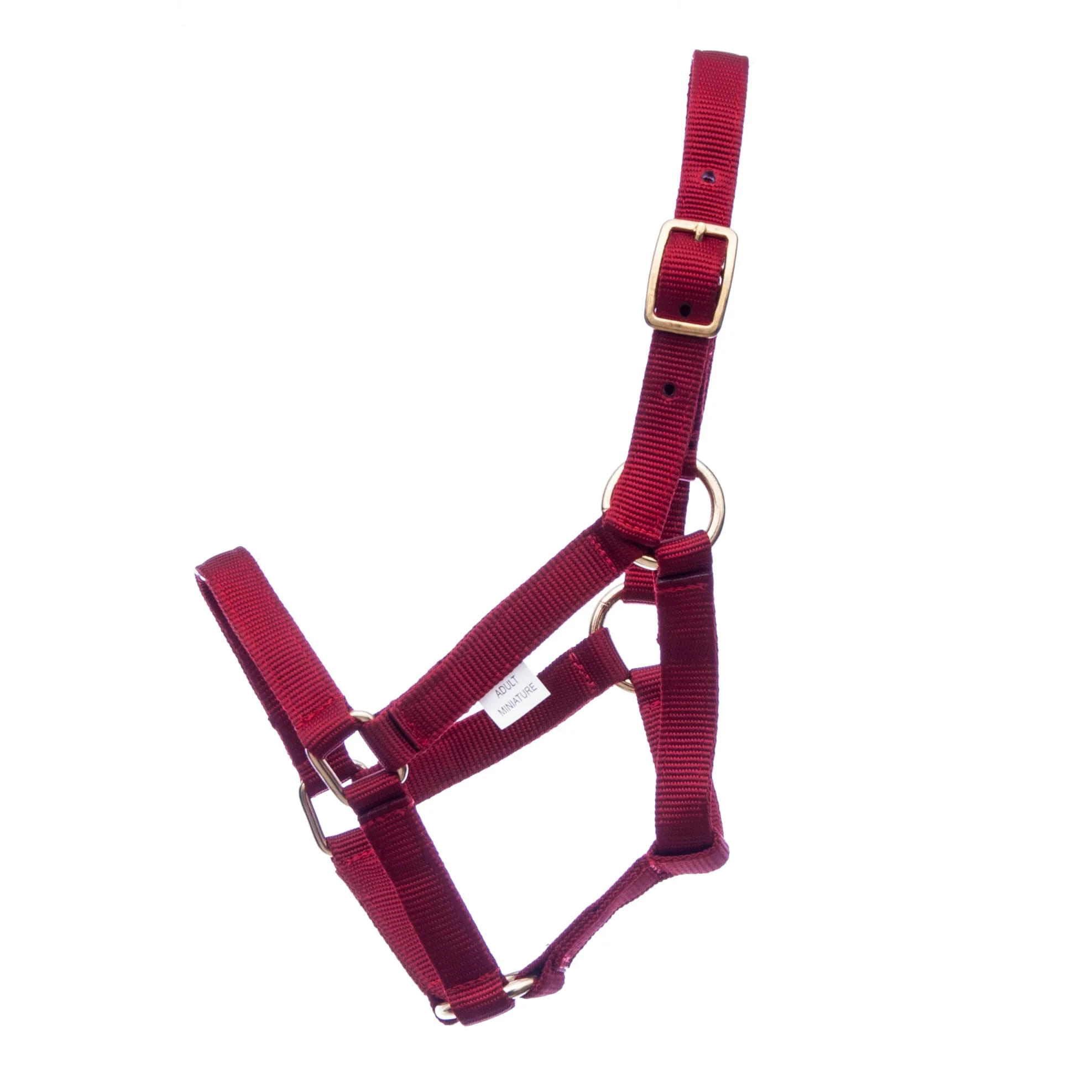 Jeffers Nylon Miniature Horse Halters, 2-Ply, 3/4" - Image 4