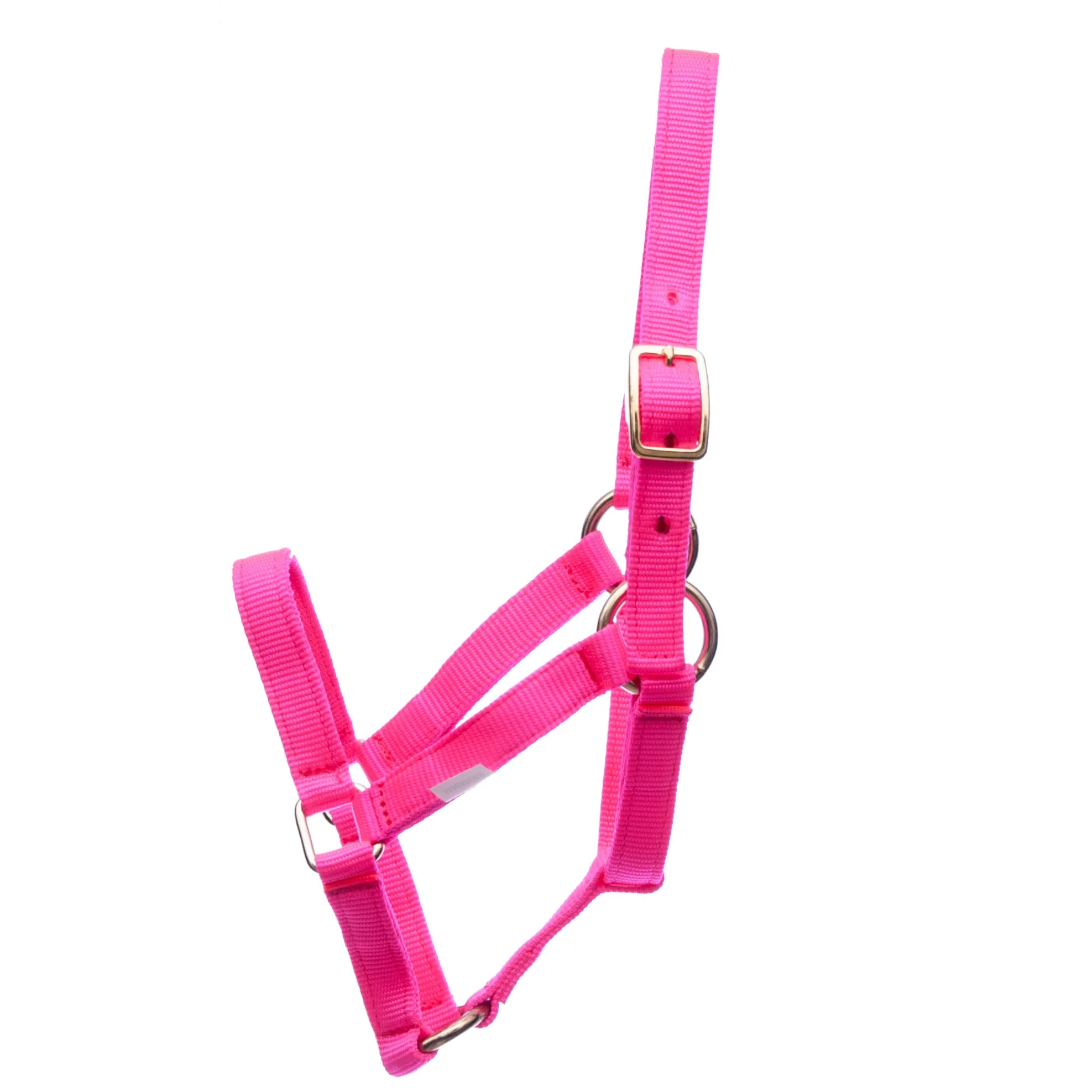 Jeffers Nylon Miniature Horse Halters, 2-Ply, 3/4" - Image 8