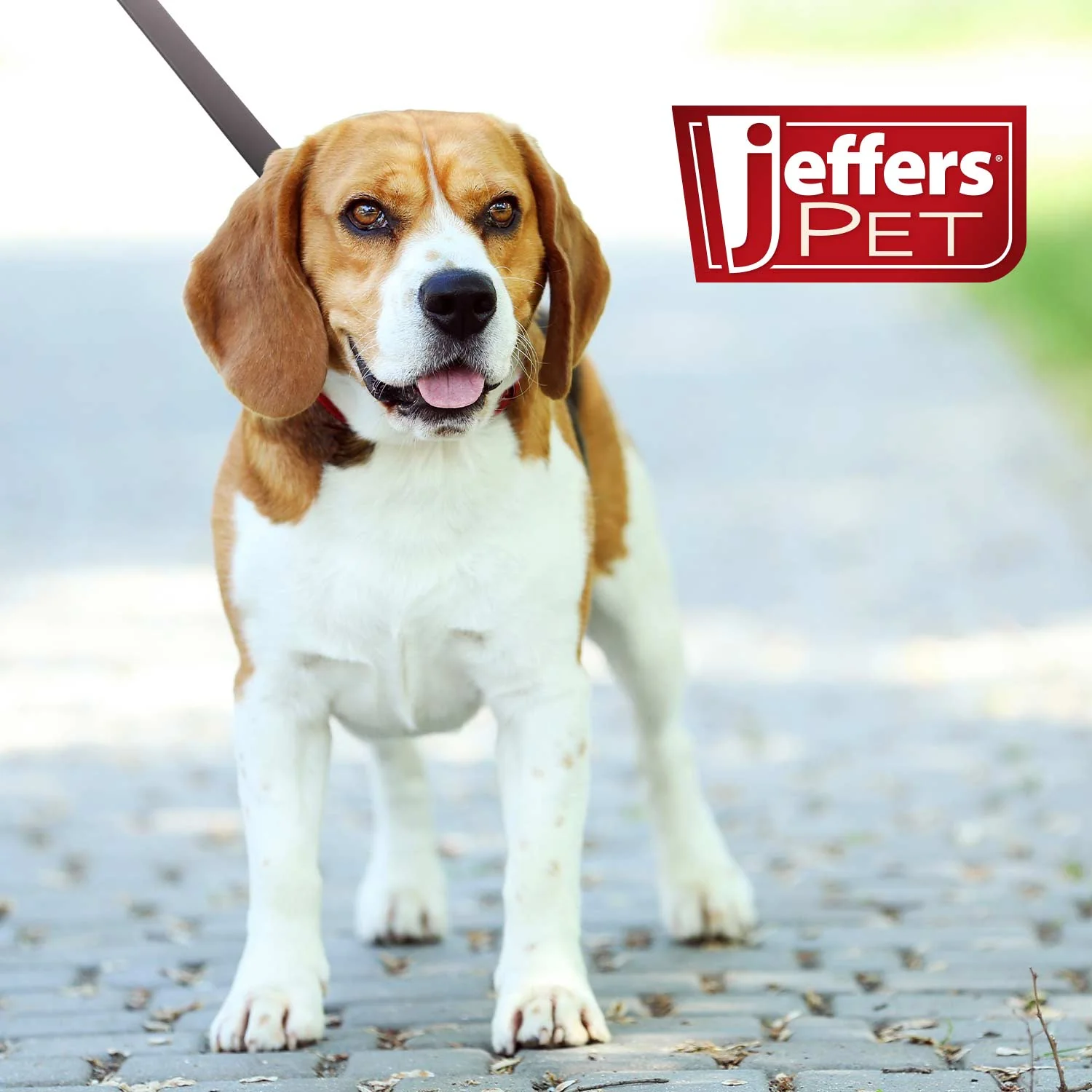 Jeffers Flat Leather Dog Leash with Hand Strap Handle, 6'L - Image 2