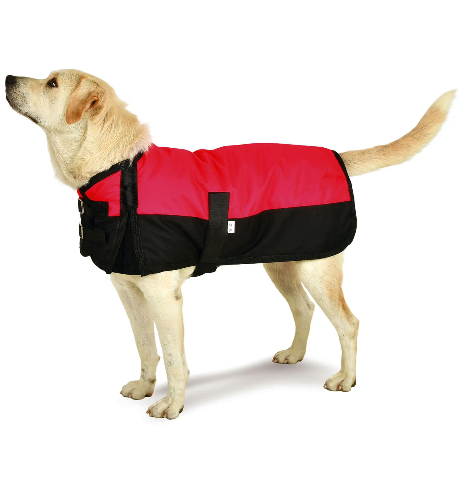 Jeffers Premium Winter Dog Coat - Image 4