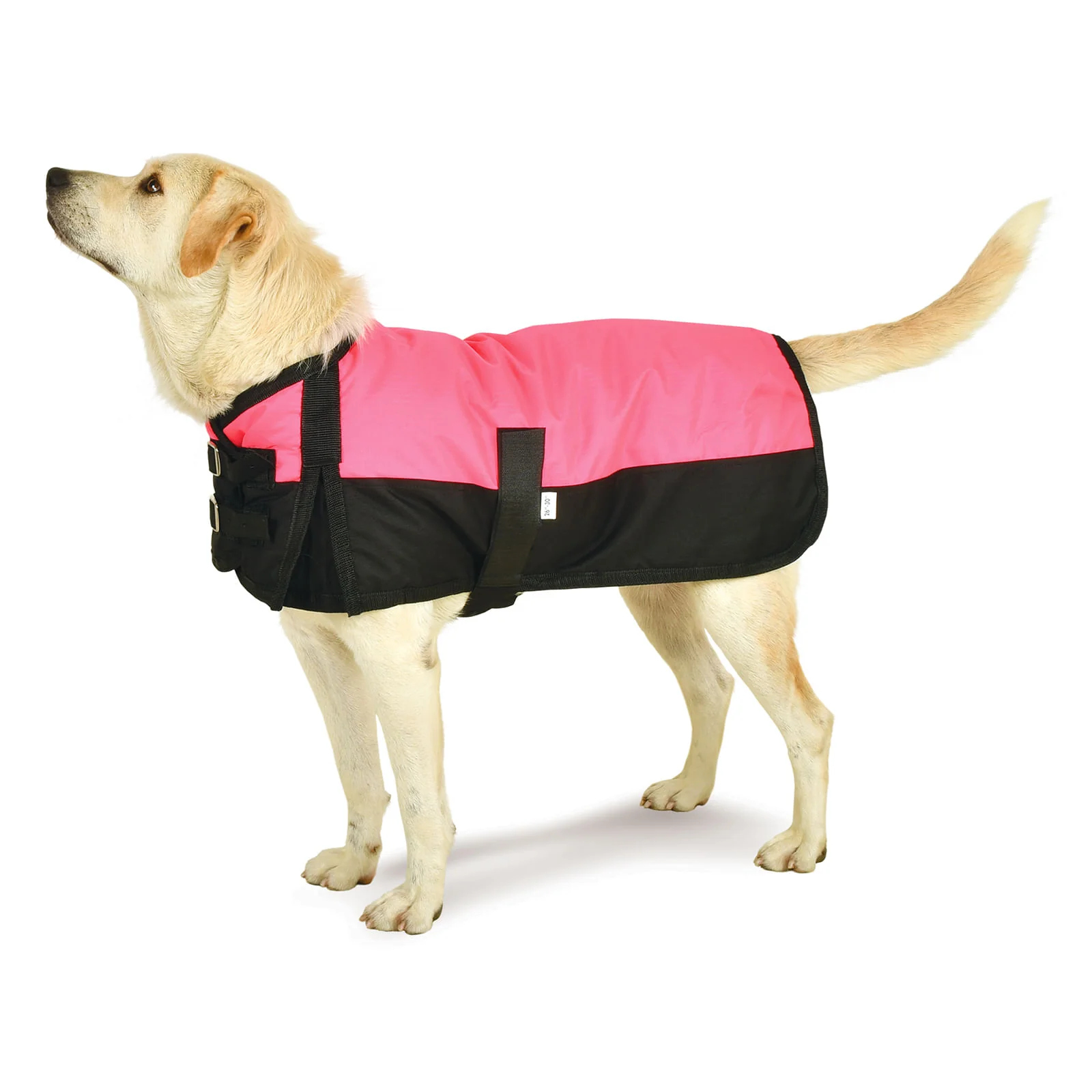 Jeffers Premium Winter Dog Coat - Image 6