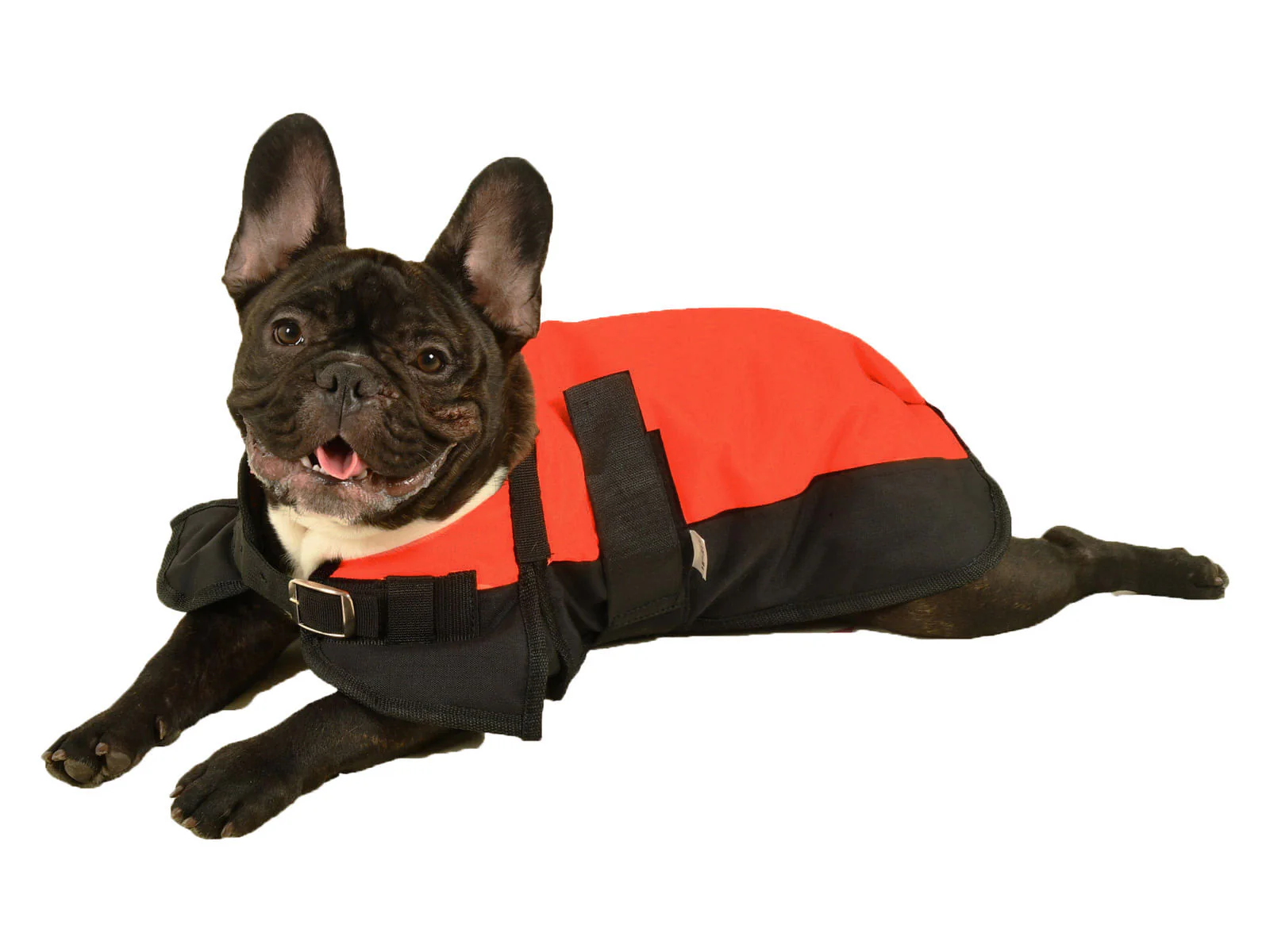 Jeffers Premium Winter Dog Coat - Image 8