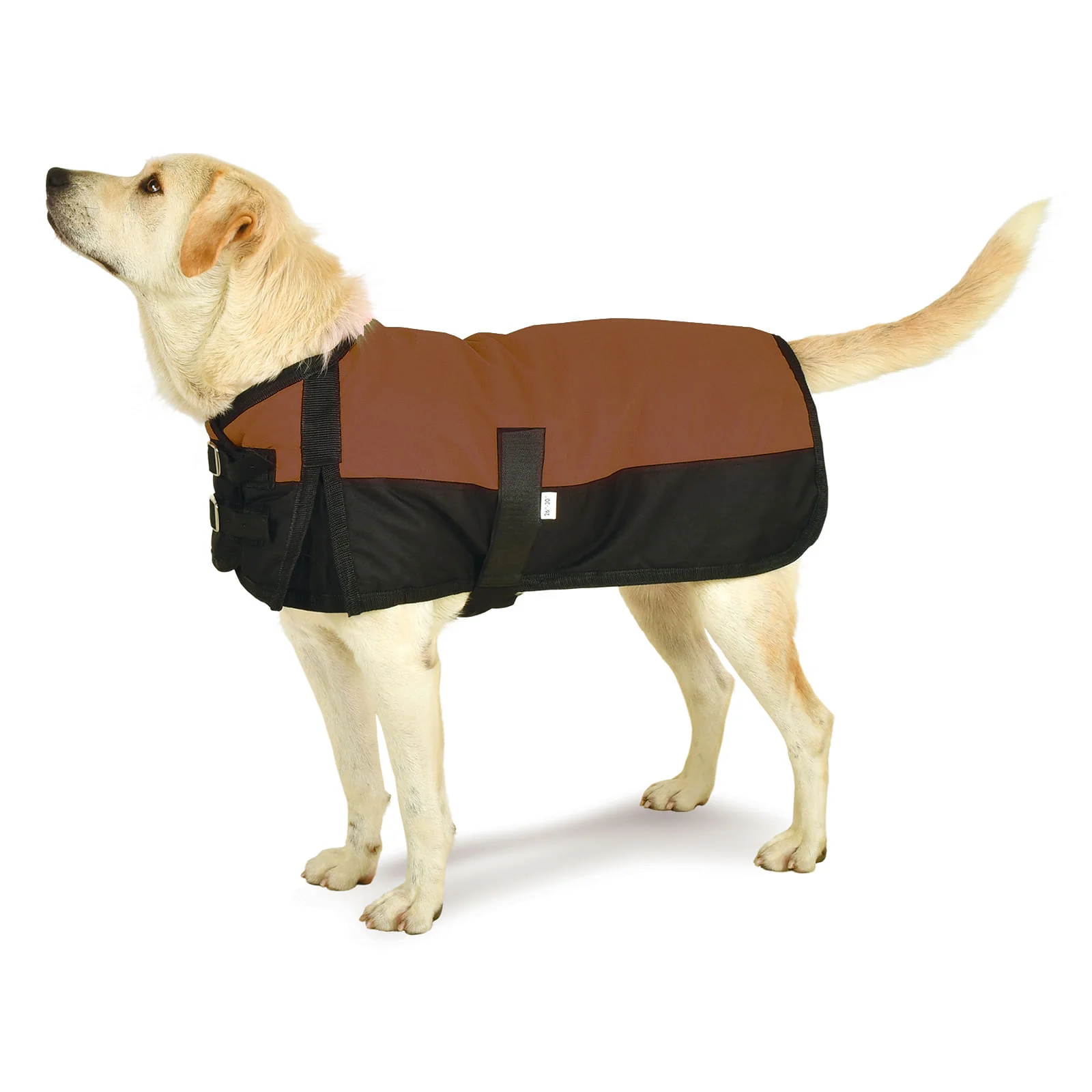 Jeffers Premium Winter Dog Coat - Image 9