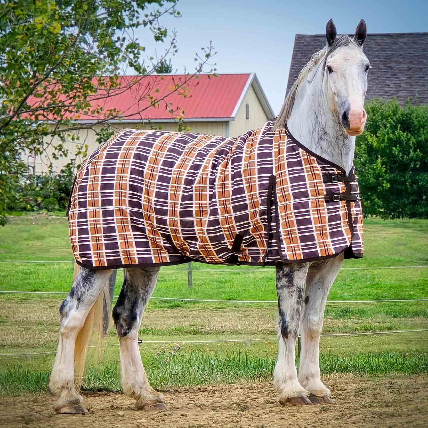 Jeffers Solaris 1200 Denier Draft Horse Turnout Blanket, 240g, Brown & Cream Plaid - Image 5