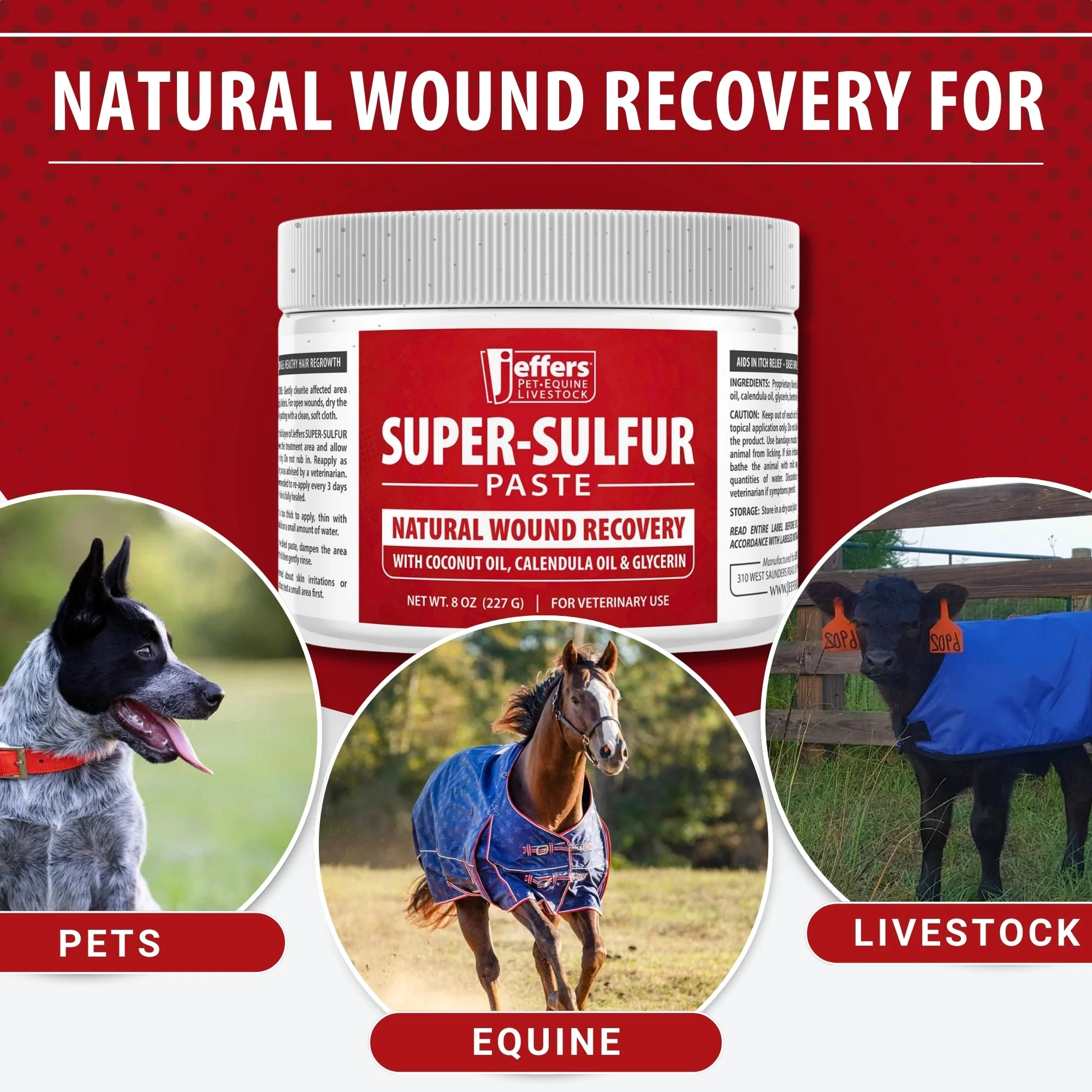 Jeffers Super-Sulfur Skin & Wound Healing Paste for Pets, Horses, & Livestock - Image 5