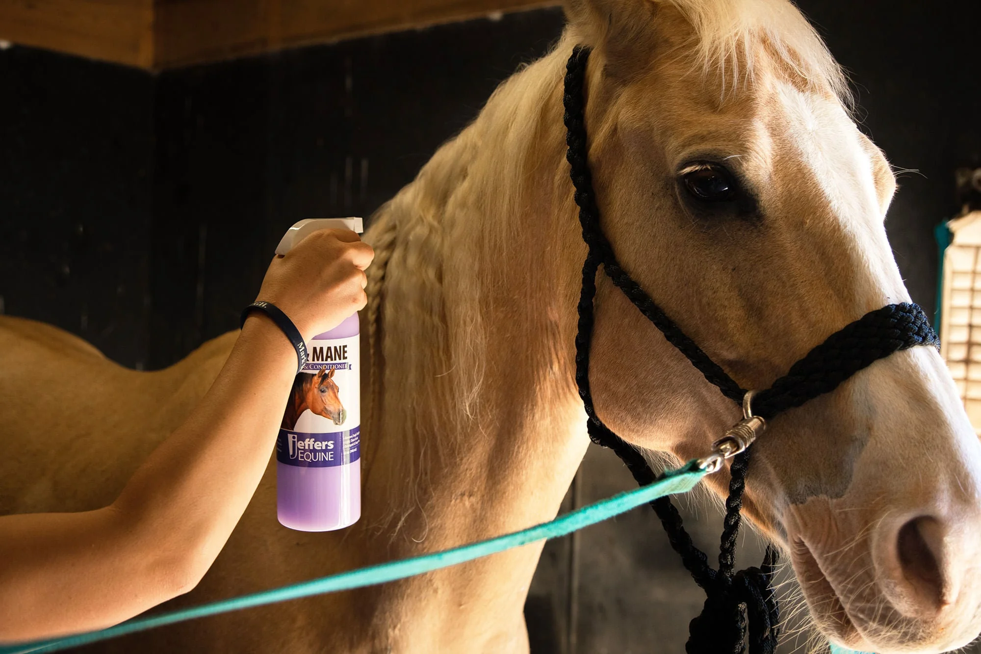 Jeffers Equine Tail & Mane Detangler and Conditioner for Horses - Image 2