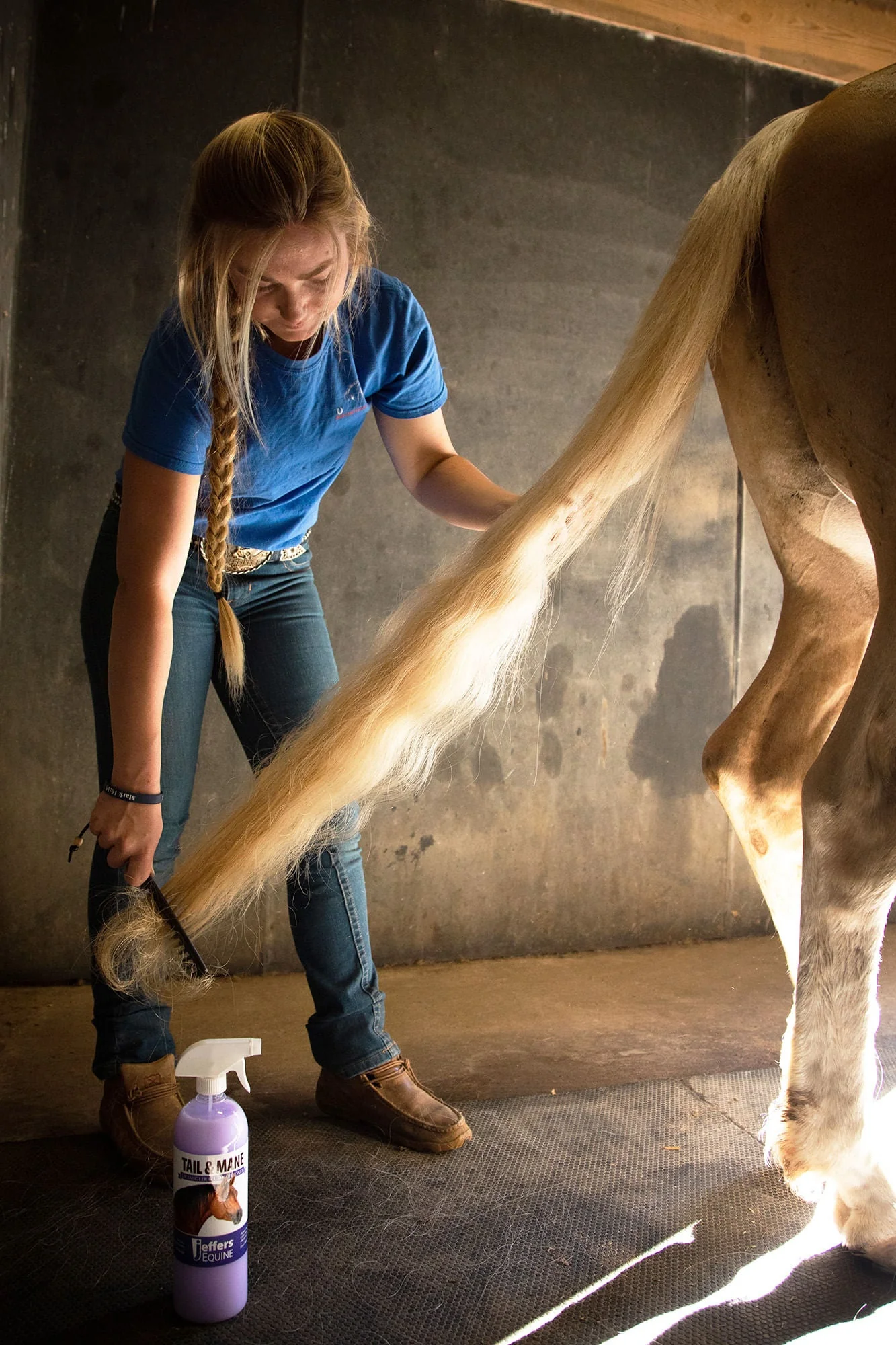Jeffers Equine Tail & Mane Detangler and Conditioner for Horses - Image 6