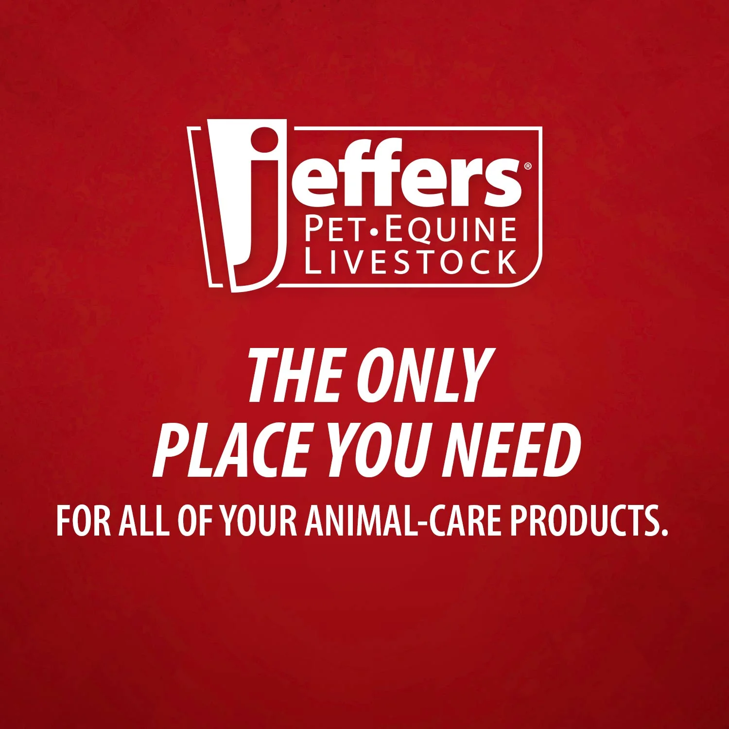 Jeffers X-O Pet Odor Neutralizer Plus + Cleaner Concentrate - Image 12